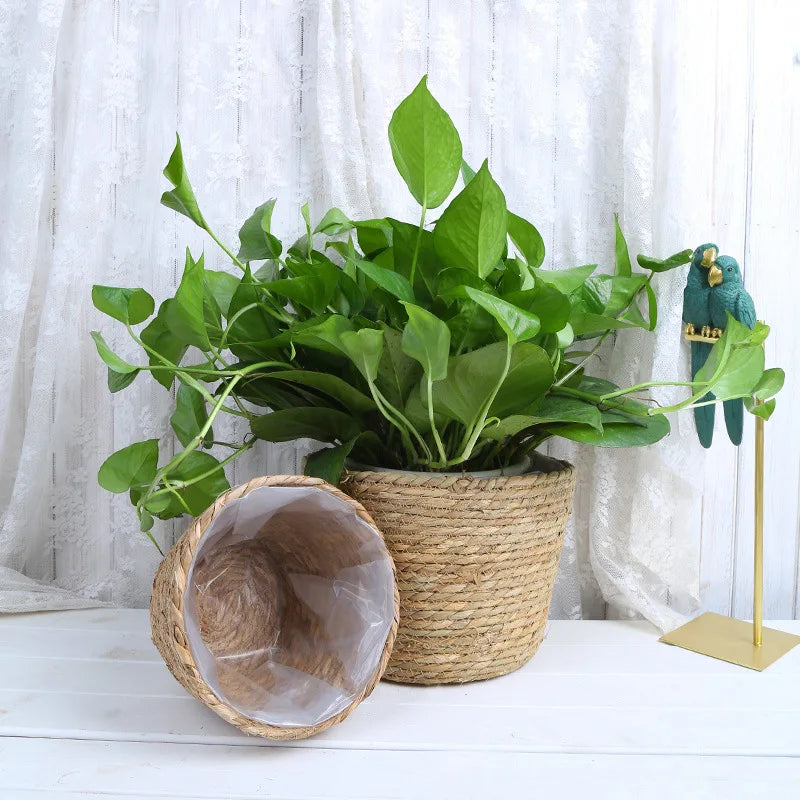 Cesto de Palha para Plantas